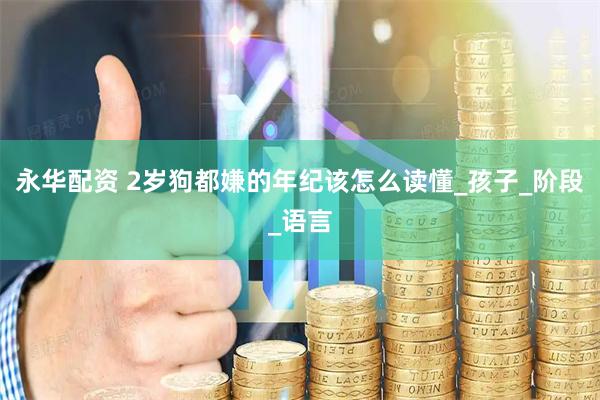 永华配资 2岁狗都嫌的年纪该怎么读懂_孩子_阶段_语言