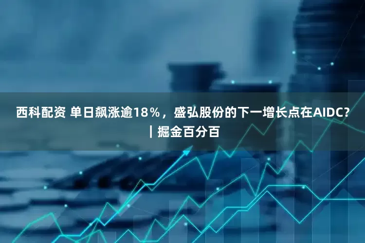 西科配资 单日飙涨逾18％，盛弘股份的下一增长点在AIDC？｜掘金百分百